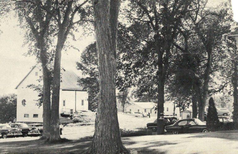 Black-and-white photo of a tree-lined street with parked cars and a small building in the background.