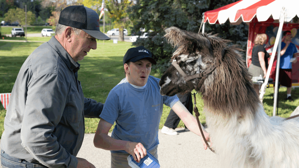 An older man and a young boy talk to a fluffy llama at an outdoor event with a red-and-white striped tent in the background.