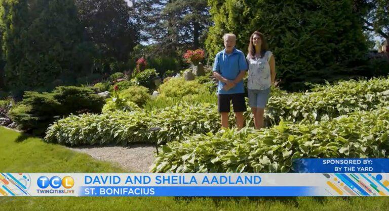 A man and a woman stand in a sunny, landscaped garden with green shrubs and trees in the background.